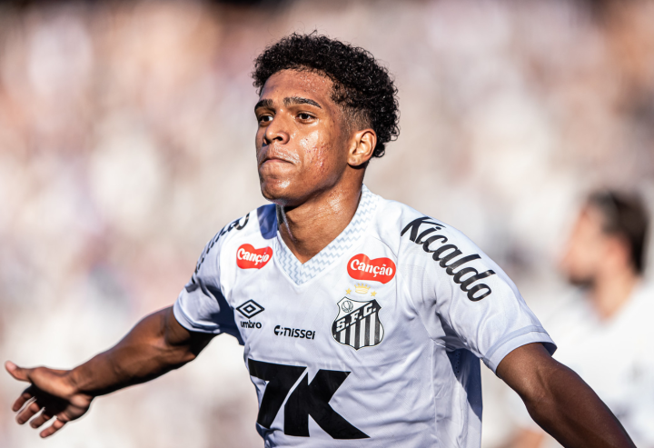 安卓成人软件普通版