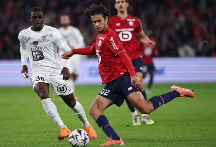 95视频免费正版