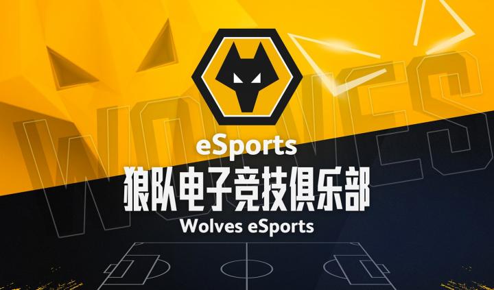 官宣中国电竞狼来了狼队电竞俱乐部正式成立
