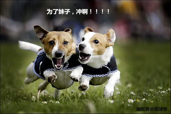 告别光棍节单身足球狗脱单秘籍