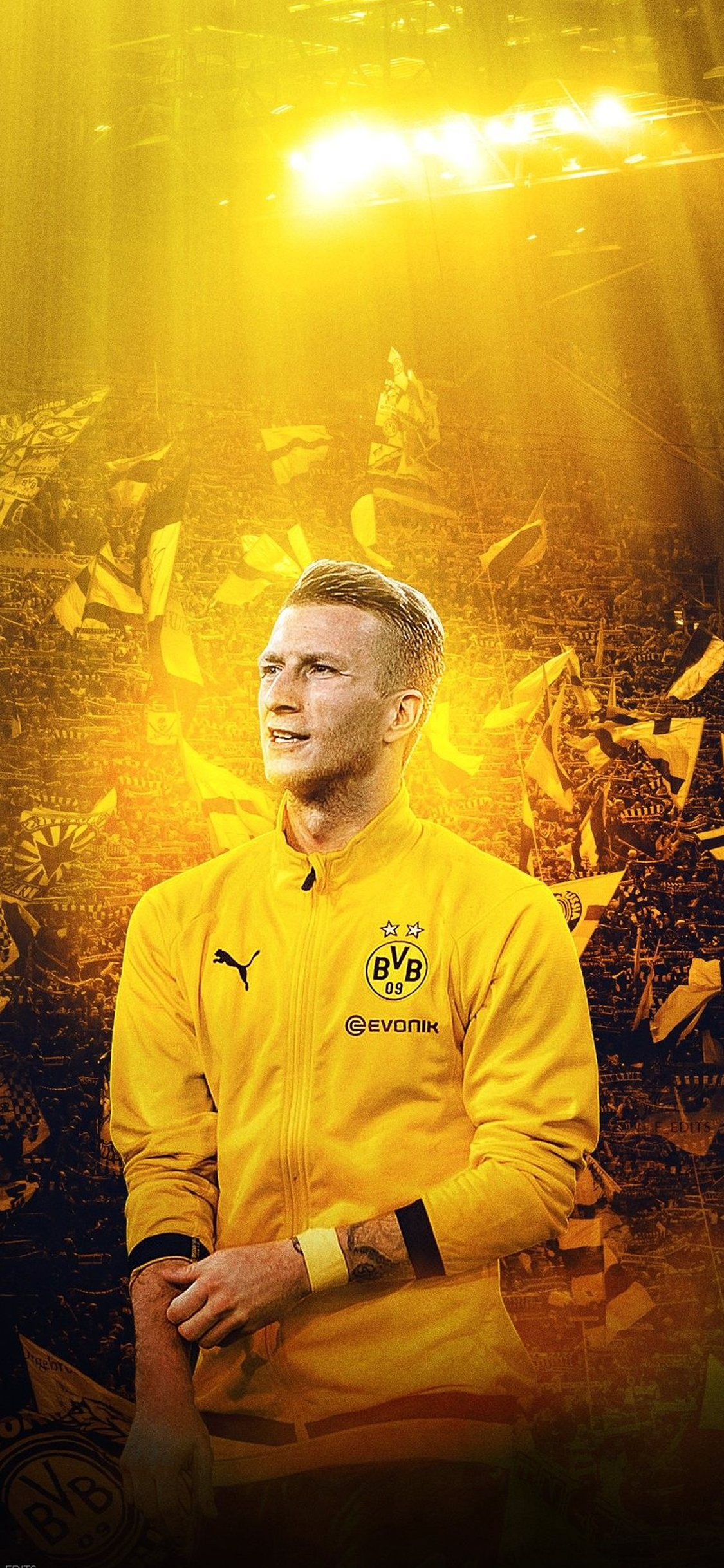 侠世壁纸德甲多特蒙德马尔科罗伊斯手机壁纸第一期