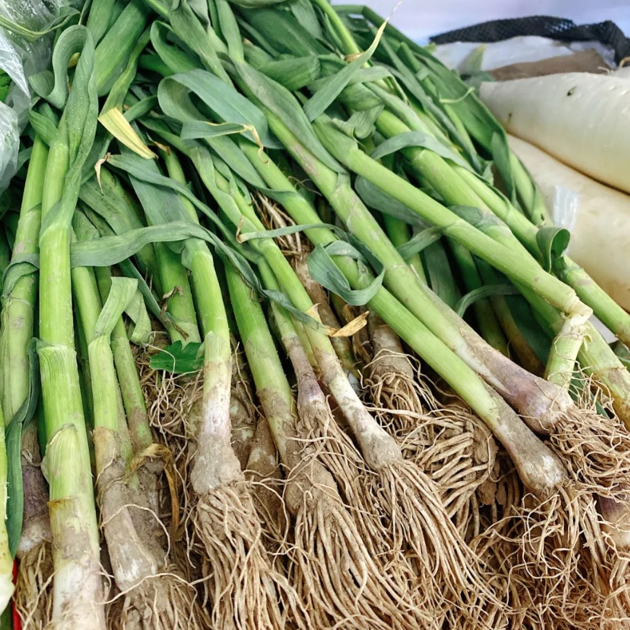 二,蒜苗和小葱大葱,差别真的很大