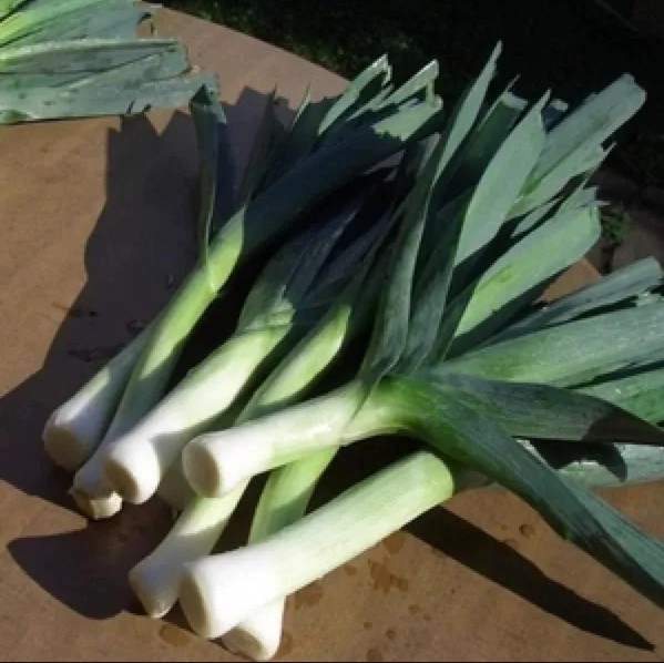 二,蒜苗和小葱大葱,差别真的很大