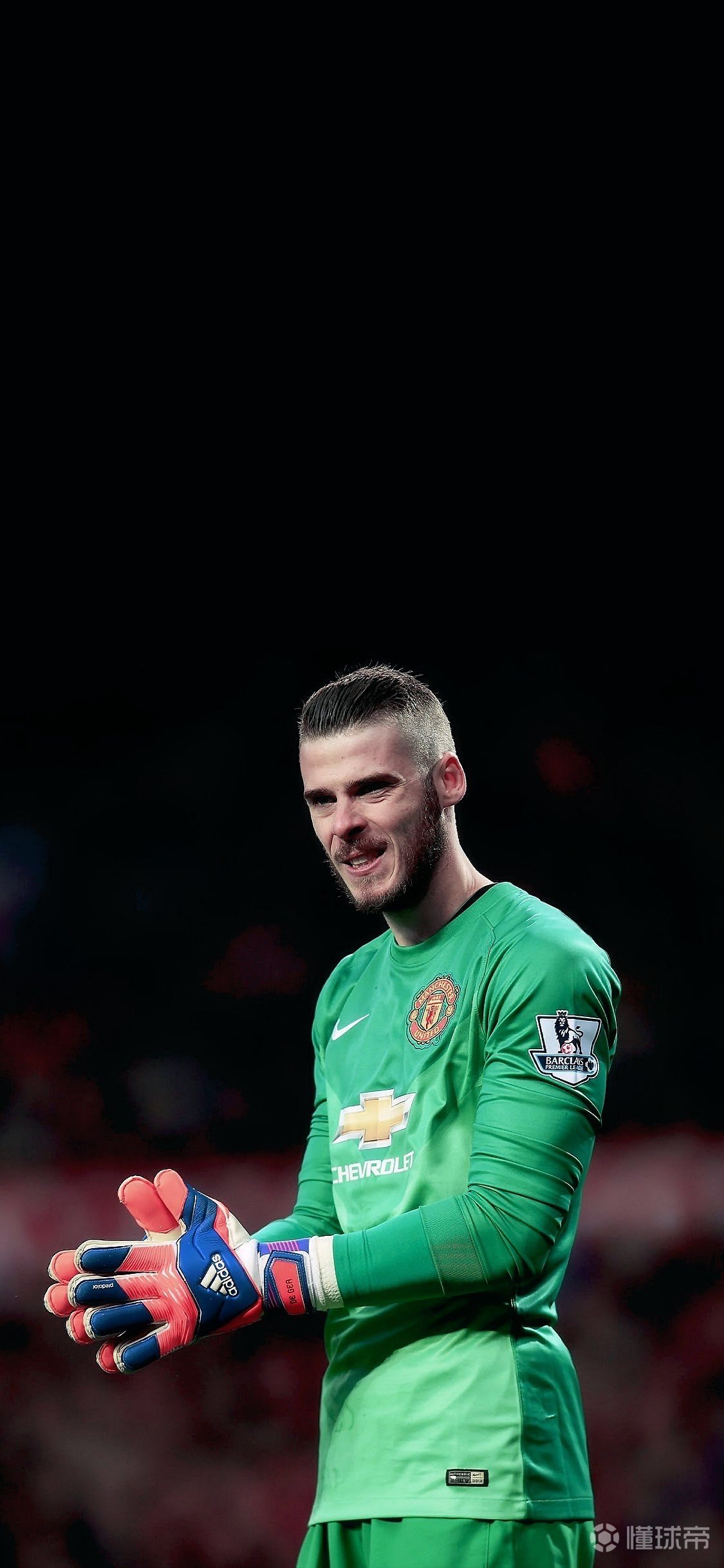 2014年的德赫亚壁纸