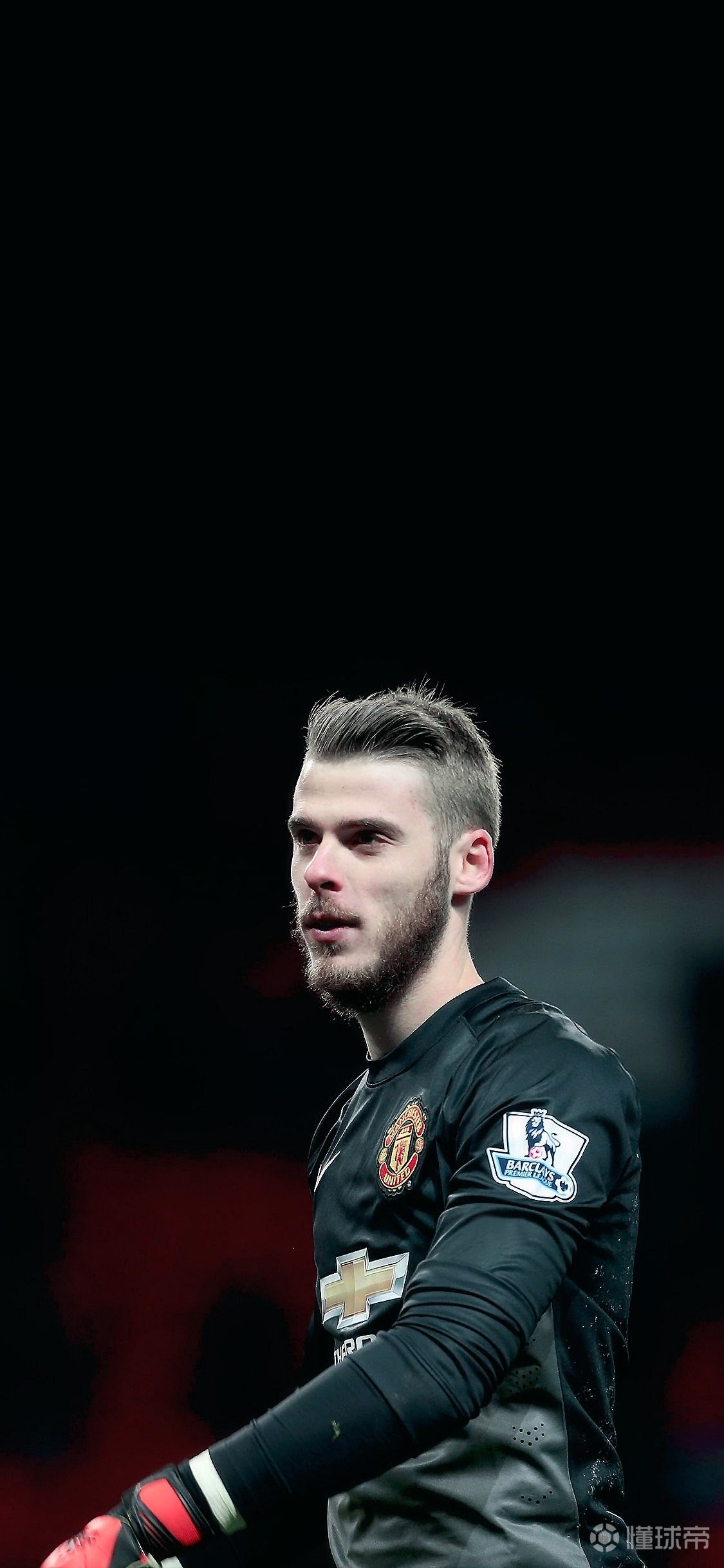 2014年的德赫亚壁纸