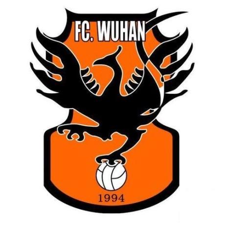 今天武汉卓尔职业足球俱乐部今日正式更名为武汉足球