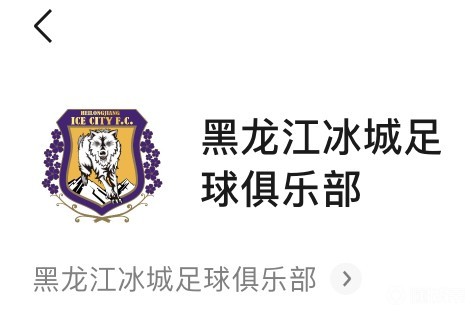 黑龙江fc社交媒体已更名黑龙江冰城并更新队徽