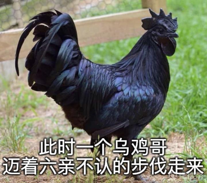 让我们看看下一轮的对手是谁呀乌鸡哥