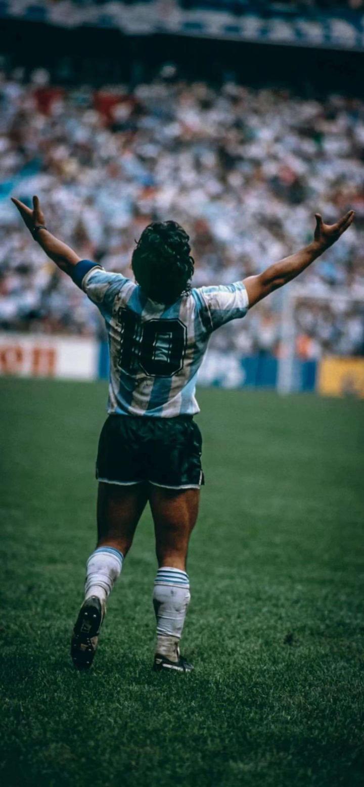 阿根廷|马拉多纳|懂球帝