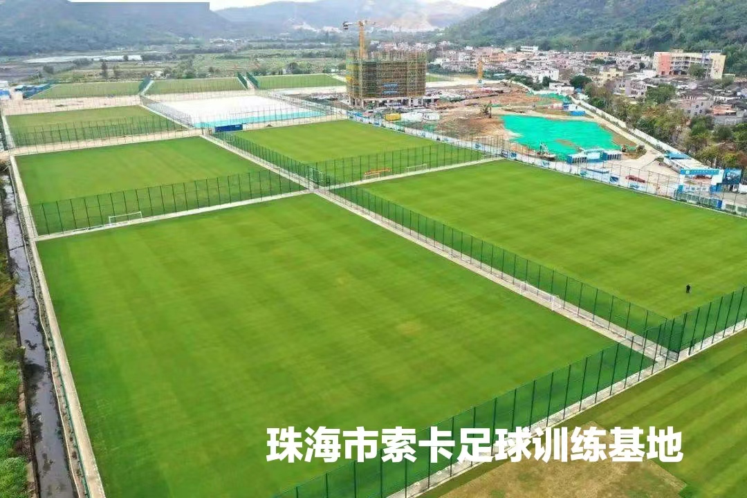 球队主场战绩强势 目前已取得十连胜 主场氛围火热球迷热情高涨