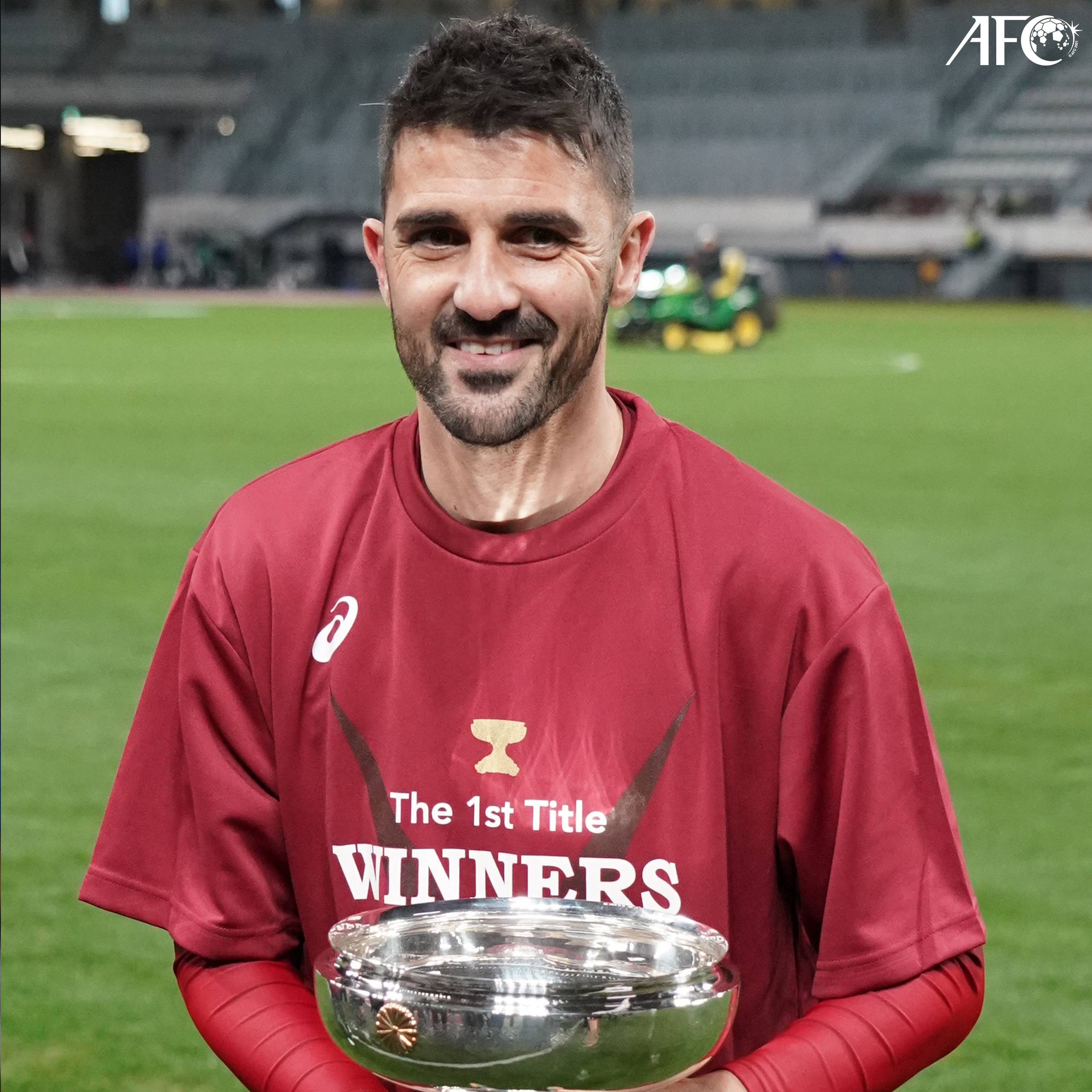 杀手本色葫芦娃大卫比利亚