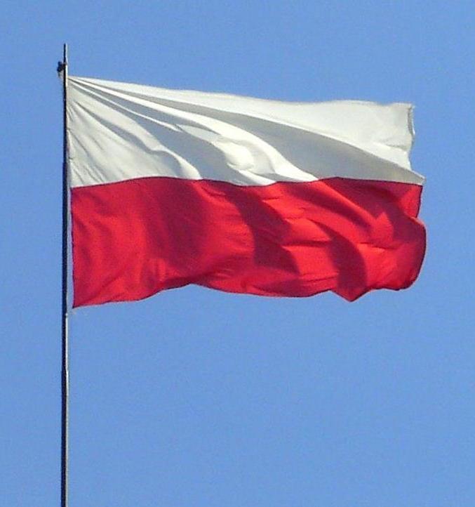 风靡世界的“波兰球”，真的起源自波兰吗？