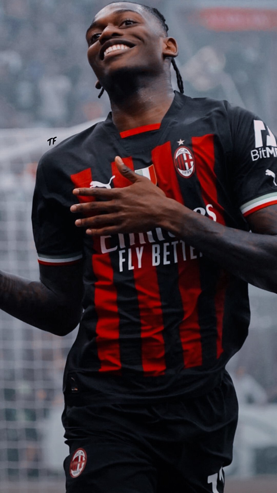 壁纸!4亿先生拉斐尔-莱奥