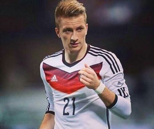 诸神的黄昏(十八):罗伊斯——来岁花前,又是今年忆去年|德国|多特蒙德