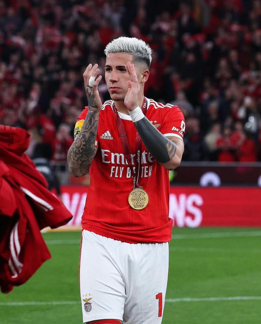 我是颜狗足坛红衣少年恩佐费尔南德斯大力神杯