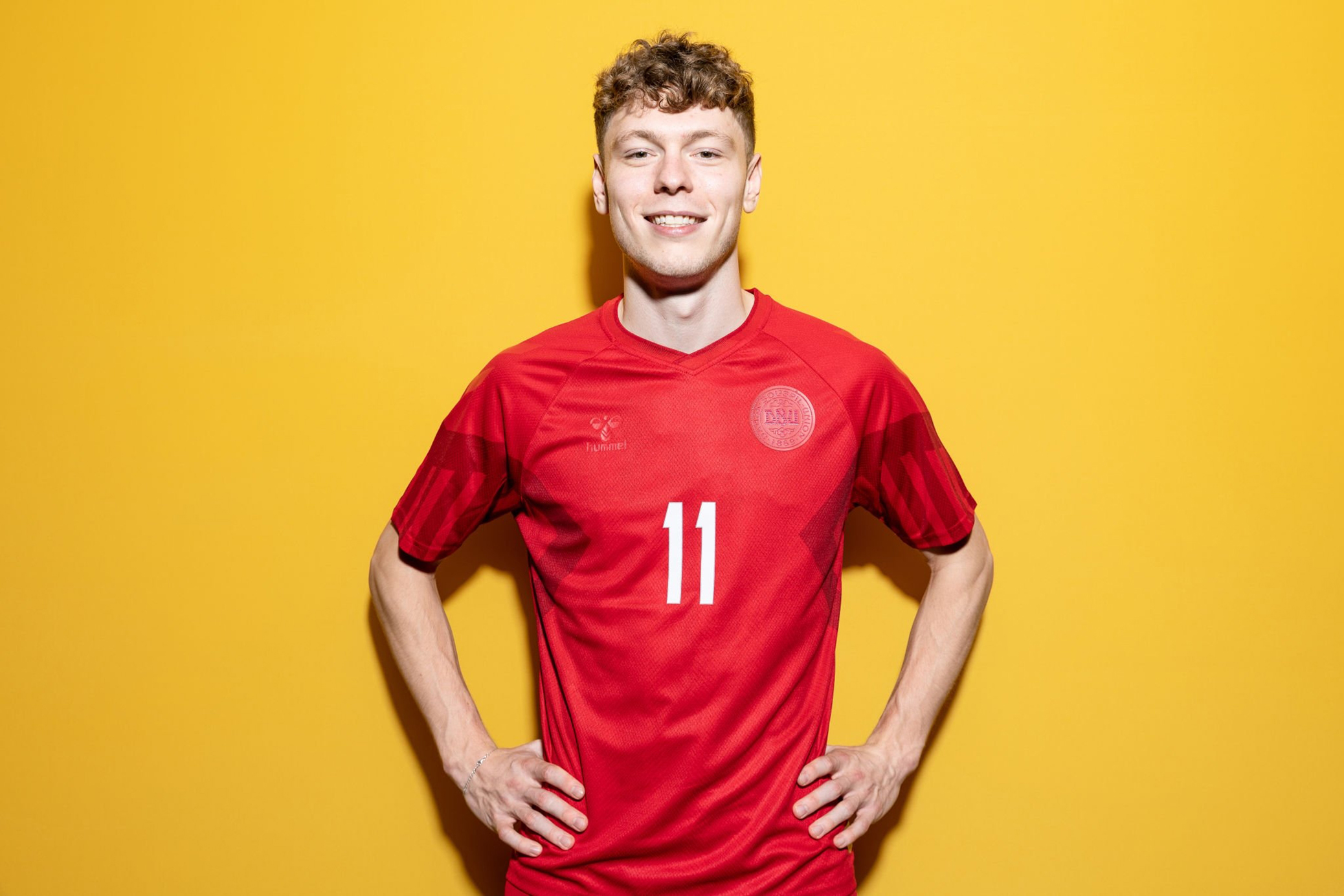 丹麦国家队世界杯定妆照