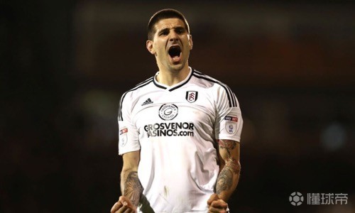 斯托伊科维奇：米特罗维奇就算少了一条腿，他也会参加世界杯