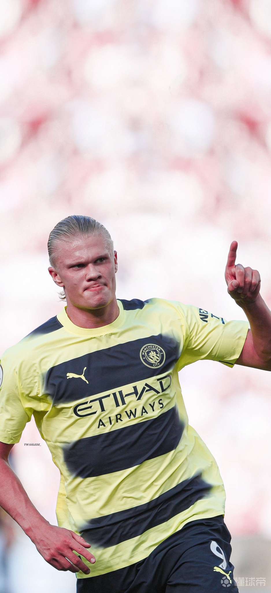 哈兰德壁纸集【竖屏】