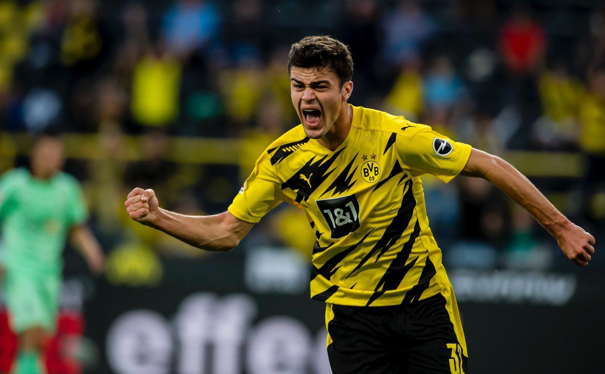 雷纳我不可能离开多特蒙德希望可以永远在这里踢球