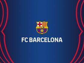 巴萨宣布子公司合并进行组织结构调整