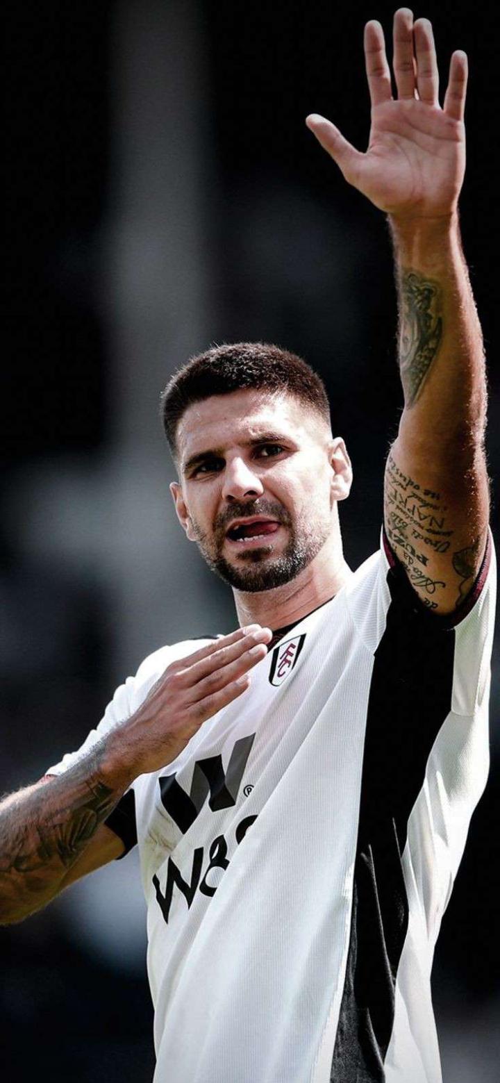 29岁生日快乐米特洛维奇塞尔维亚和我们利雅得