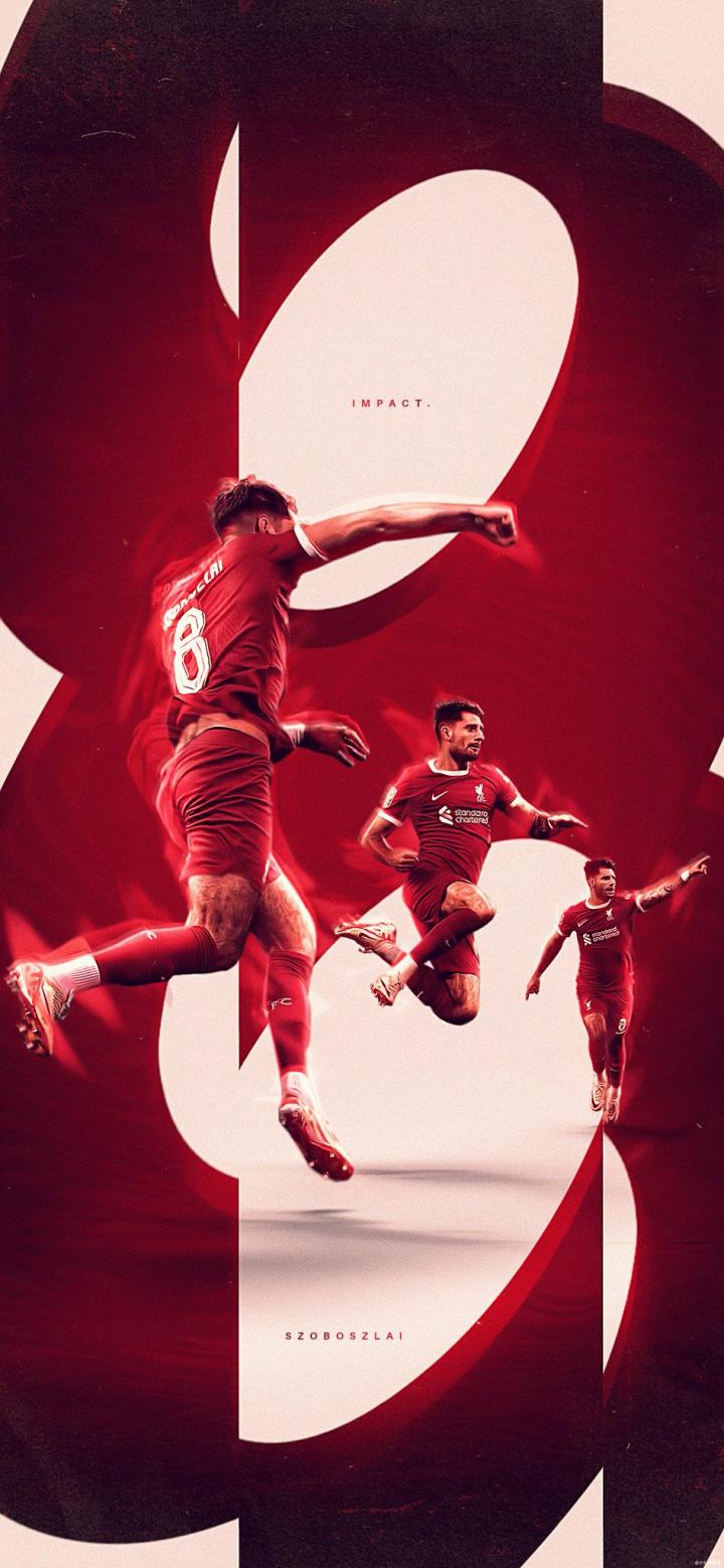 壁纸索博斯洛伊又帅又能踢