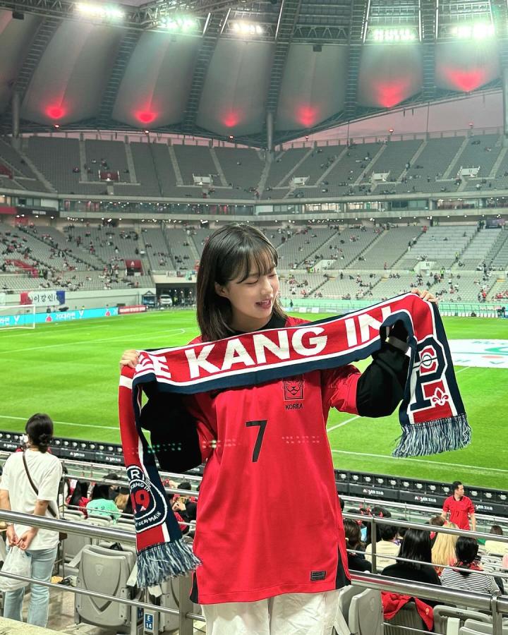 现场观战韩国40突尼斯的韩国美女球迷