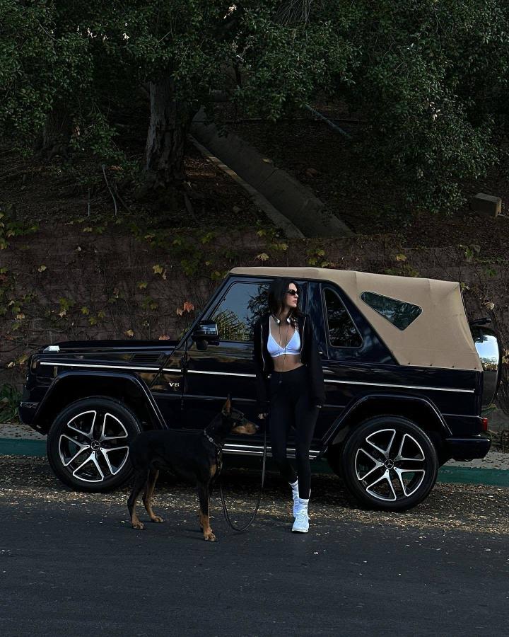 肯达尔詹娜kendalljenner