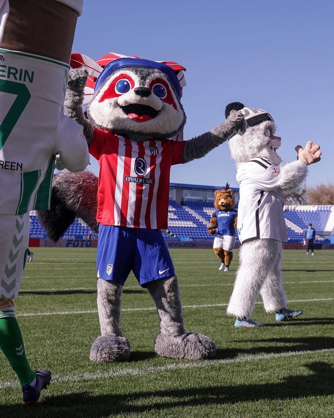 马竞吉祥物indi 熊参加西甲举办的吉祥物运动会