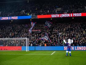 美国商人伍迪-约翰逊完成收购水晶宫足球俱乐部股权