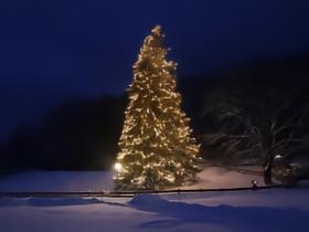 拜仁高层赫内斯准备30米高的圣诞树