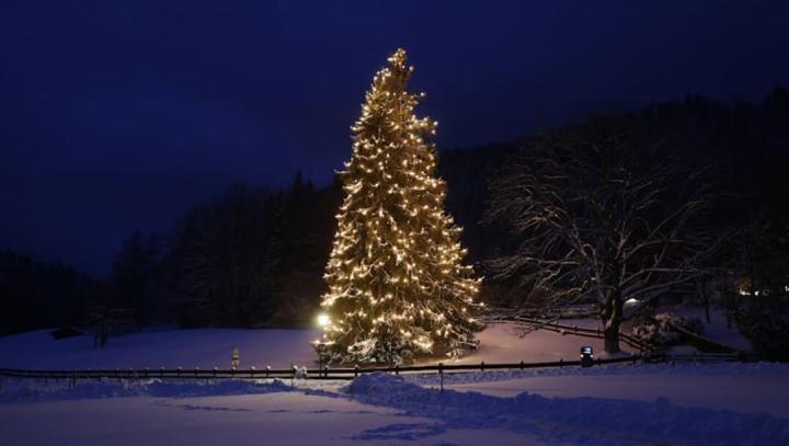 气氛到了，图片报：赫内斯为30米高的圣诞树装上彩灯