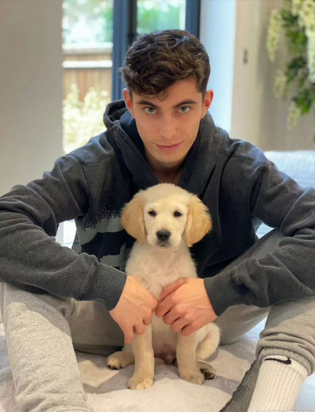 逆风翻盘的哈弗茨!