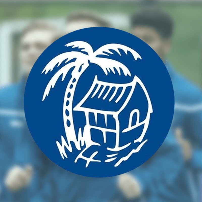 奇怪队徽大赏2安宁椰树小屋背后的血泪史