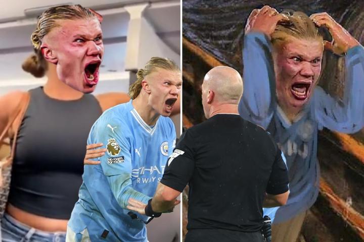 哈兰德咆哮表情惨遭二创