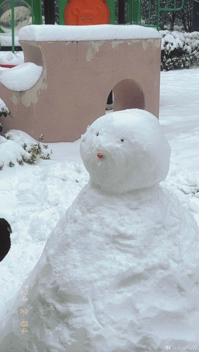 带着自家小狗一起在外面堆雪人