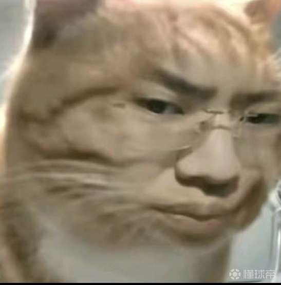 请问鉴宝大师我的衣服是真的吗