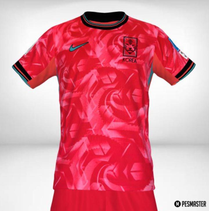 韩国球迷眼中的韩国国家队主客场新球衣