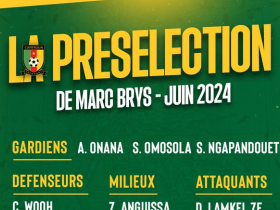 喀麦隆公布6月世界杯预选名单，多名球星回归入选