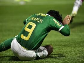 巴西小将恩德里克受伤 暂缺席比赛