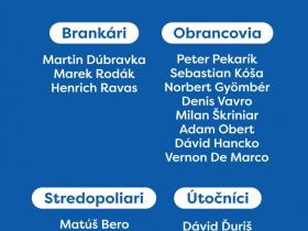 斯洛伐克队公布欧洲杯26人大名单