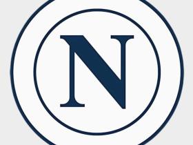 那不勒斯俱乐部将动用自有资金建设新球场