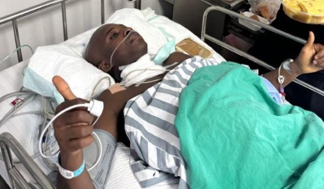 食草动物有哪些_足球直播雨燕