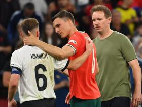 帕利尼亚：在拜仁的困境和未来