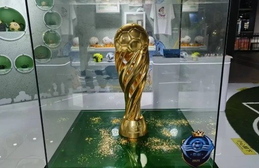 登国际舞台，泰州队“苏超”冠军奖杯亮相中国国际进口博览会