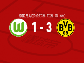沃尔夫斯堡vs多特蒙德球员表现评分
