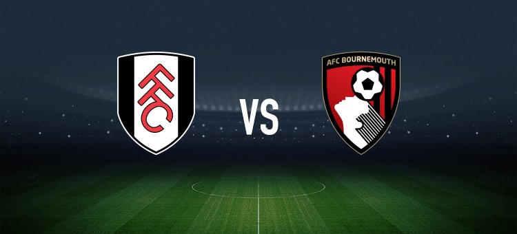 富勒姆VS水晶宫高清无插件视频直播在线观看