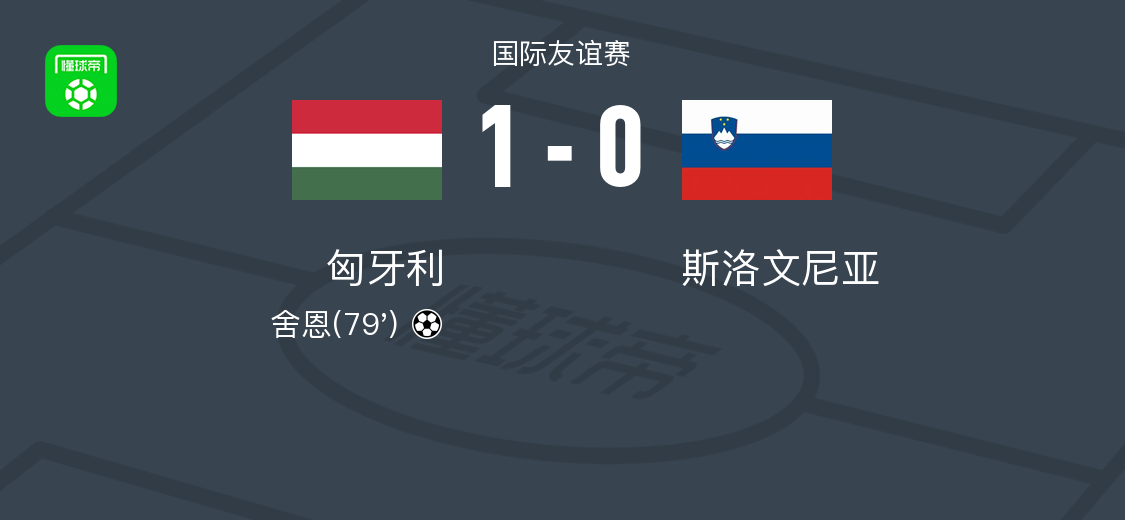 匈牙利1-0斯洛文尼亚，舍恩一剑封喉
