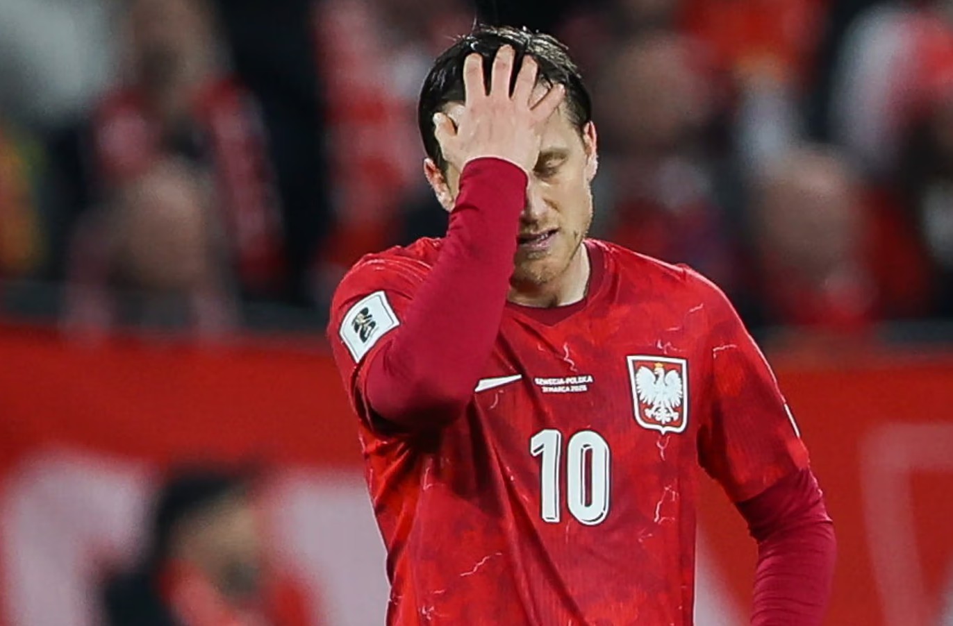 泽林斯基：我们本该把握机会赢下瑞典；已经没兴趣看世界杯了