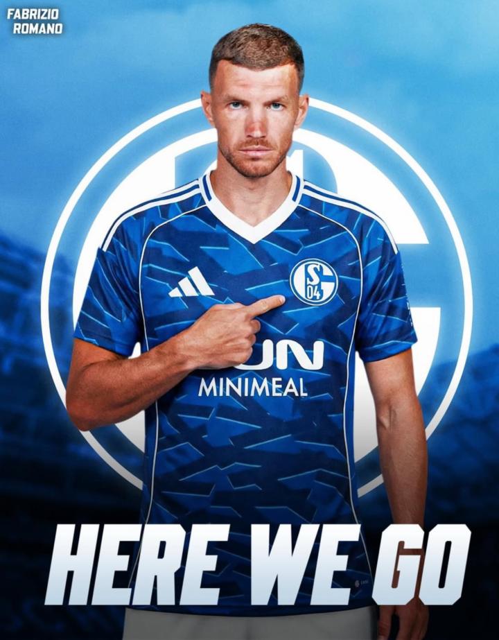 Here we go！罗马诺：沙尔克就签下39岁前锋哲科达成协议